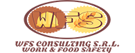 WFS CONSULTING SRL